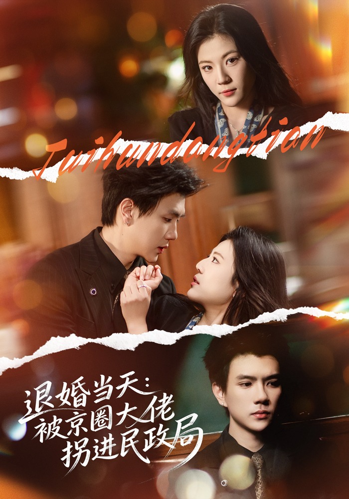 退婚当天：被京圈大佬拐进民政局