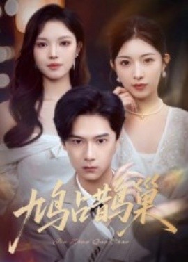 鸠占鹊巢&顶流夫人的致命陷阱